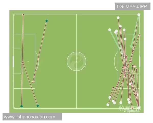波兰与爱尔兰国际赛程对决分析及球队状态评估