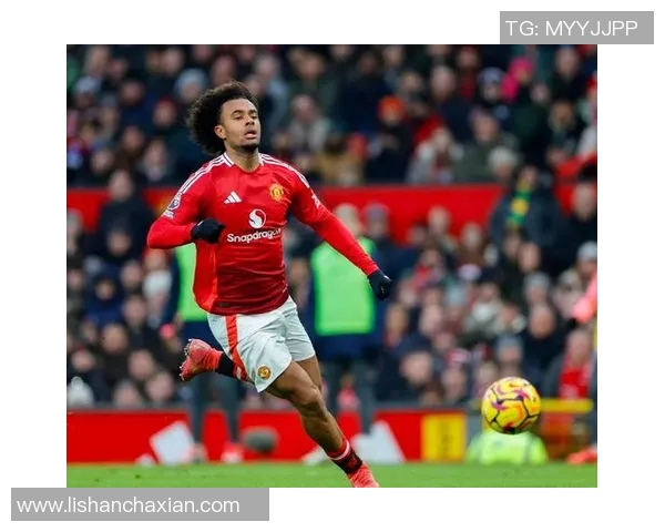 布莱顿对曼联精彩直播全程回顾与赛后分析尽在这里