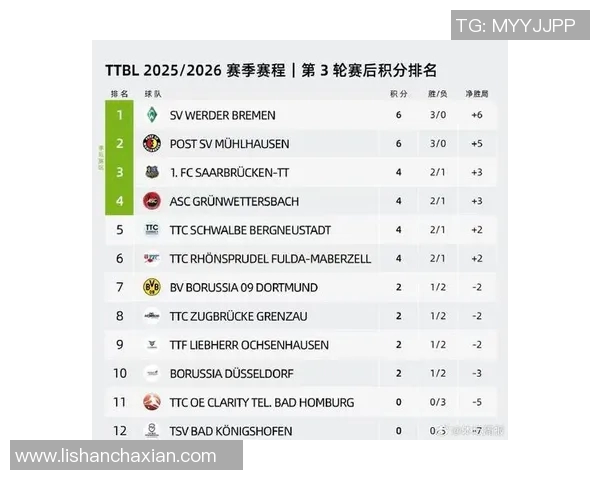德甲排行榜最新动态分析与球队表现评估全面解读