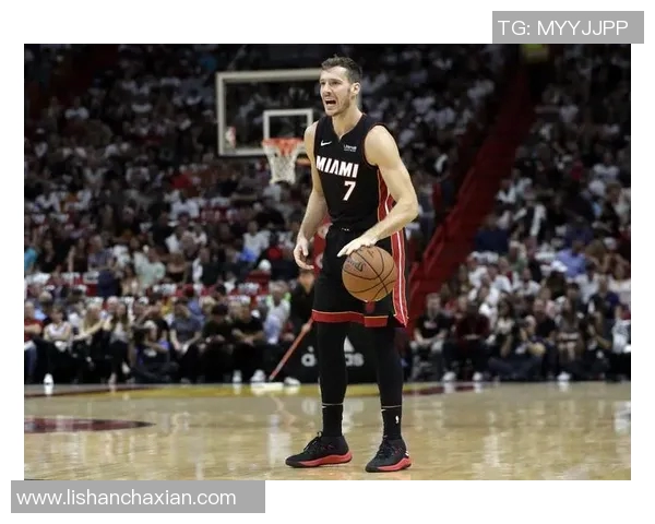 热火老将德拉季奇重返球队，期待贡献