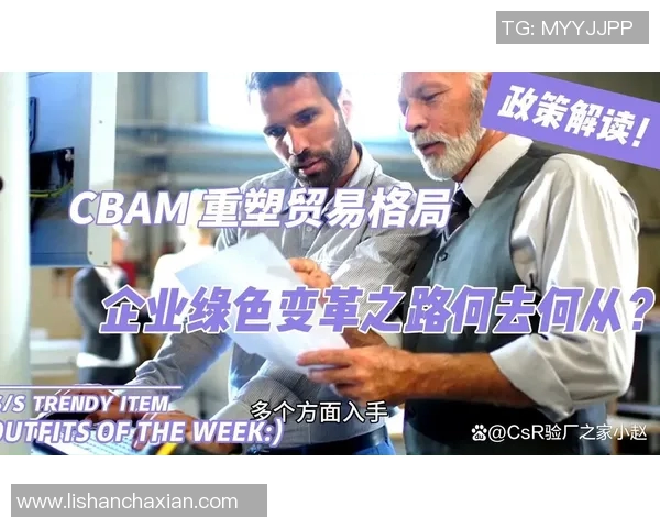 欧盟推出碳边境调节机制，助力实现减排目标