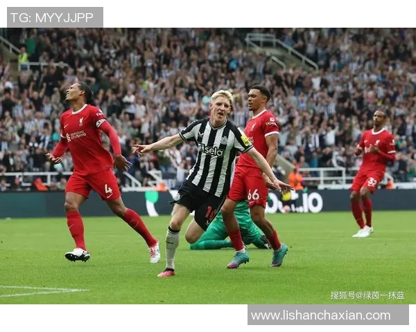 努涅斯在赛场上的崛起与挑战分析及未来发展展望