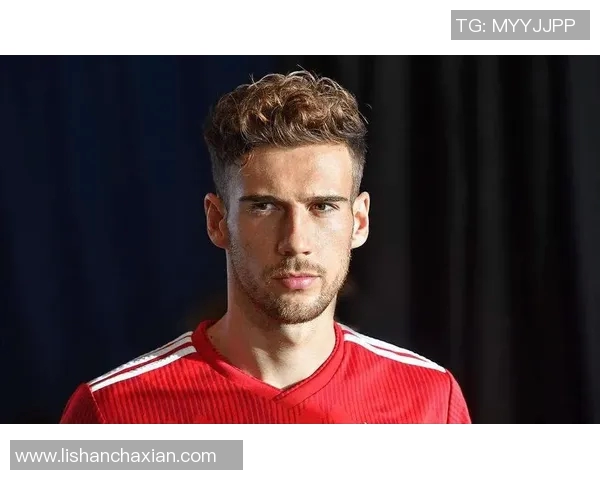 格雷茨卡的崛起与挑战：从德甲新星到国家队中流砥柱的传奇之路