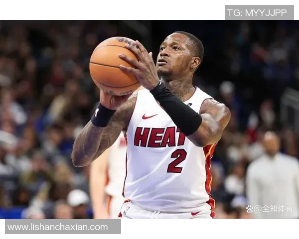 特里罗齐尔在NBA赛场上的崛起与挑战解析