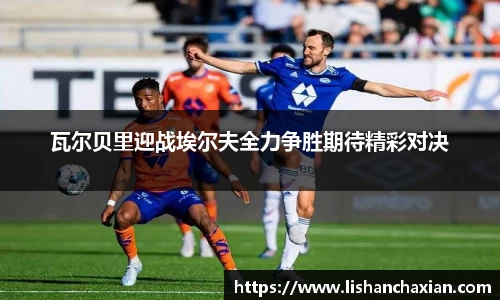 YY易游官网版